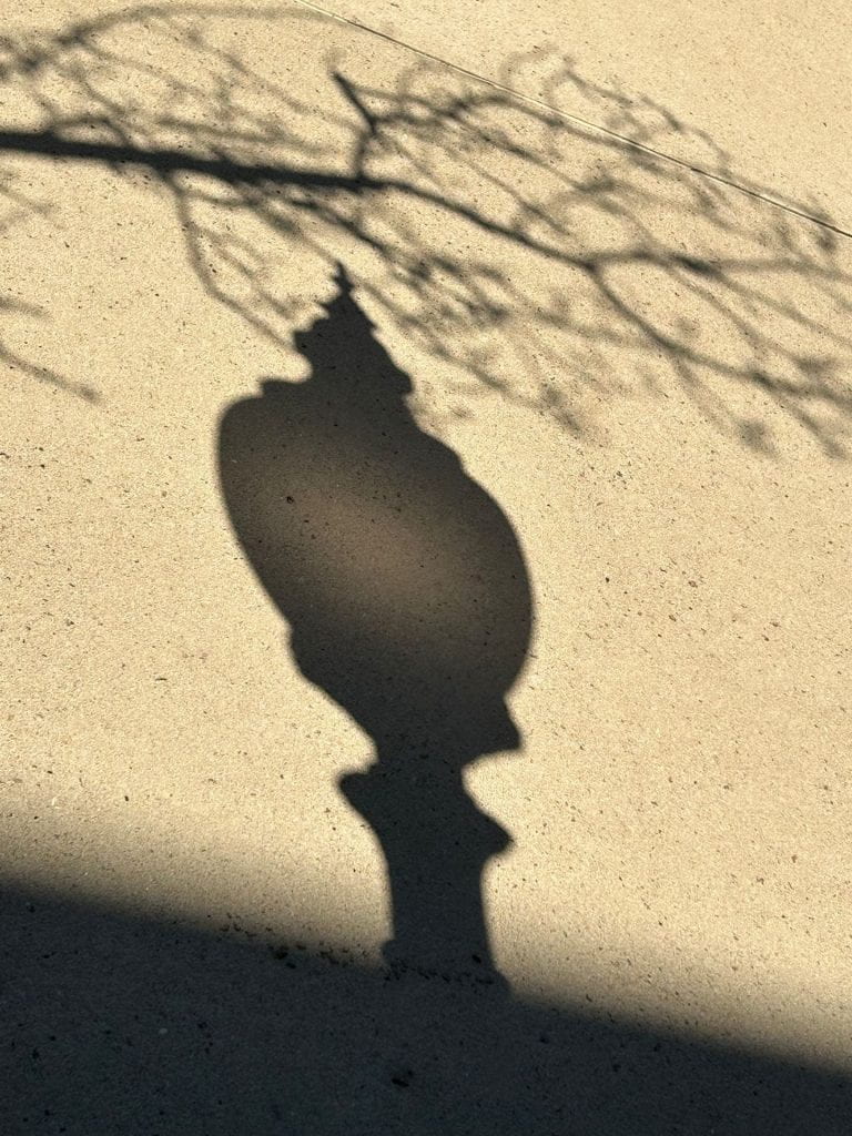 shadow of a lamppost and tree branch cast on a concrete wall