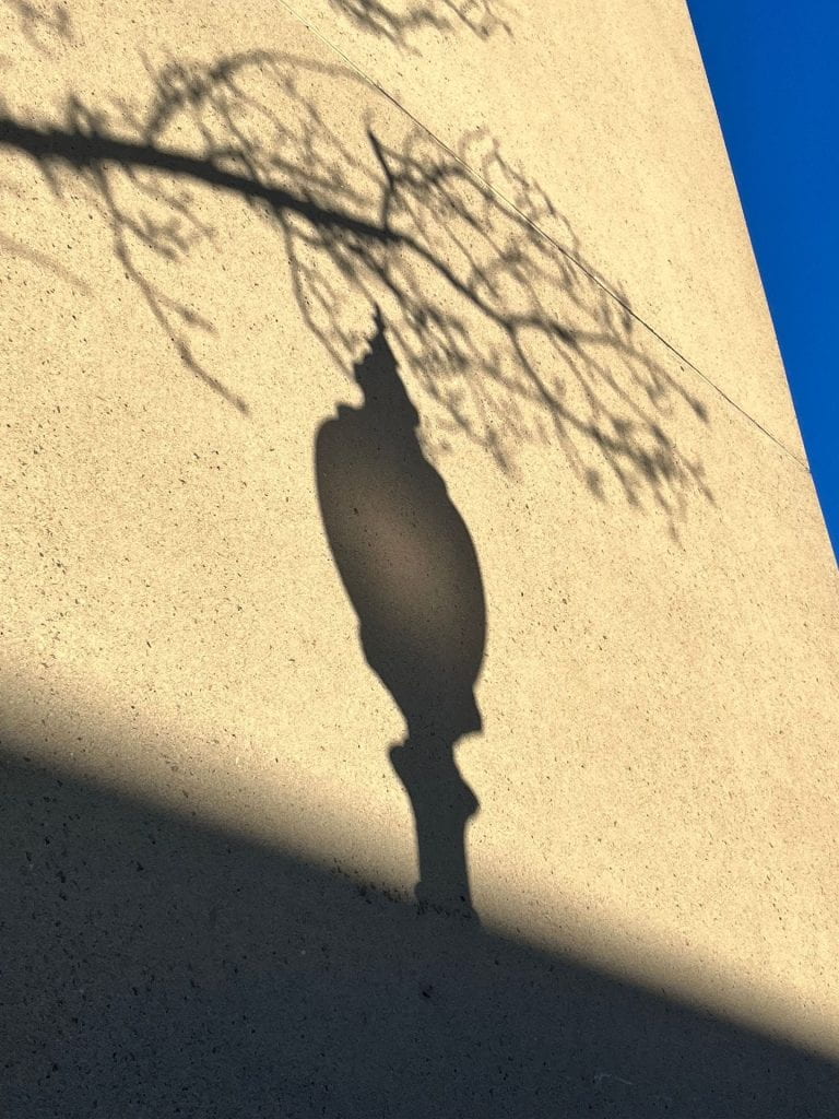 shadow of a lamppost and tree branch on a concrete wall