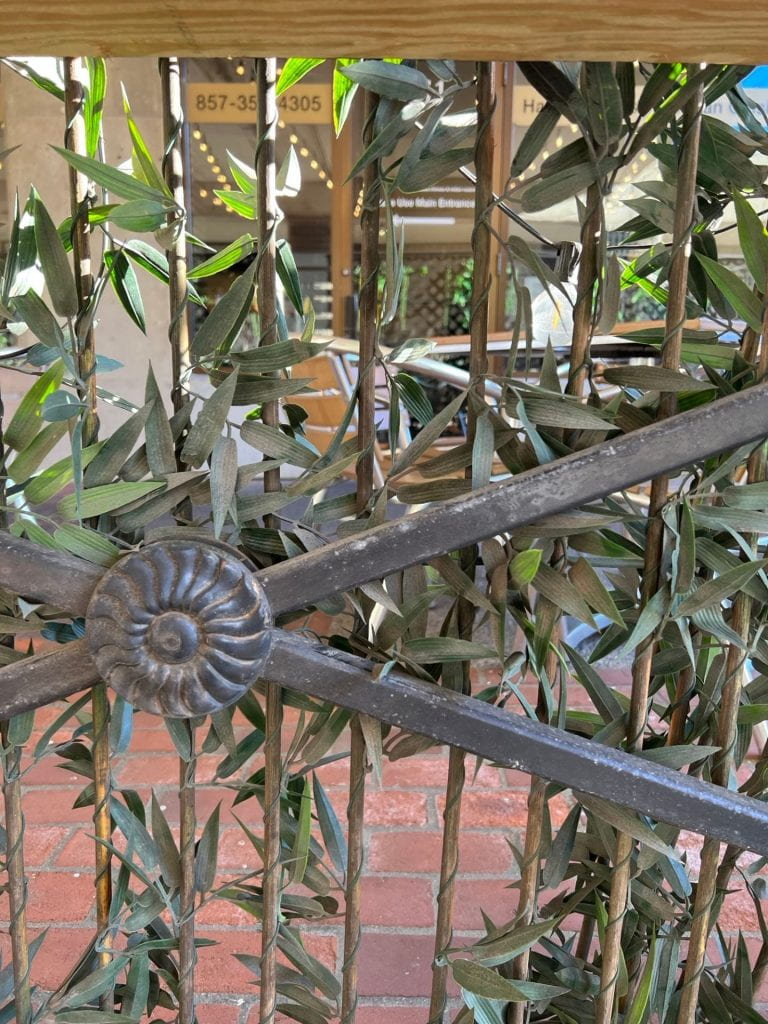 decorative metal fencing with foliage visible behind it