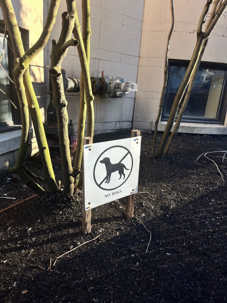 small no dogs signs in a dirt-filled garden